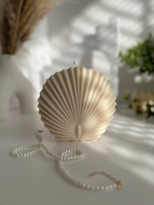 Sea Shell Candle