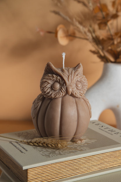 Large owl | Autumn collection