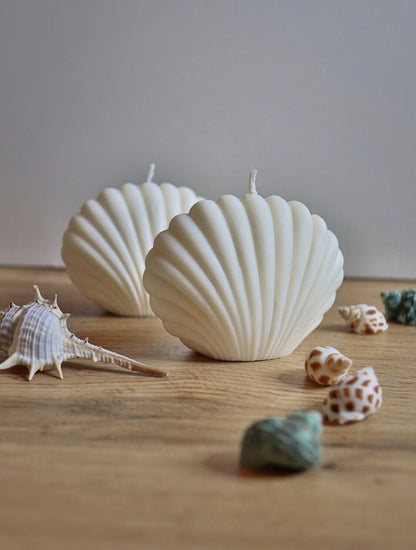 Sea Shell Candle