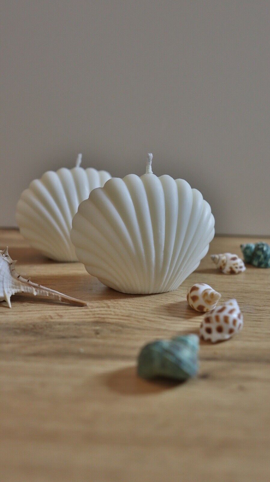 Sea Shell Candle